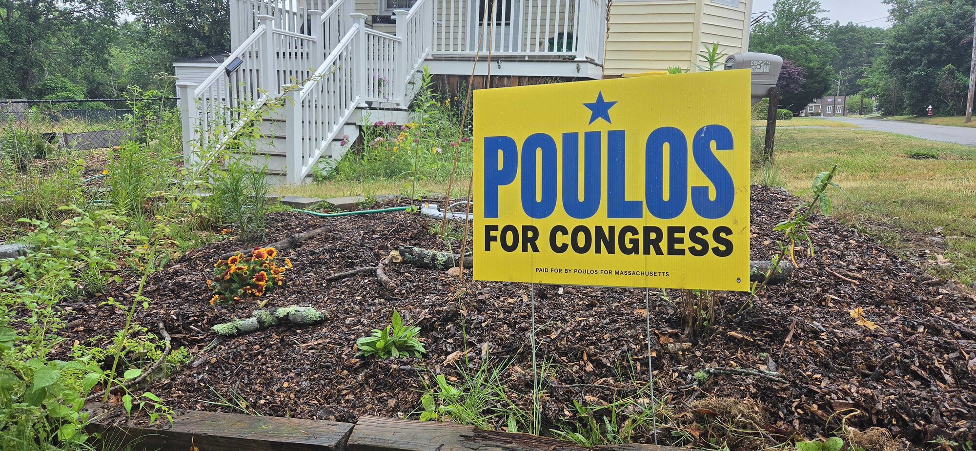 A yellow Poulos for Congress lawn sign standing in a mulched garden bed in MA-04
