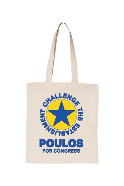 Challenge the Establishment canvas tote bag